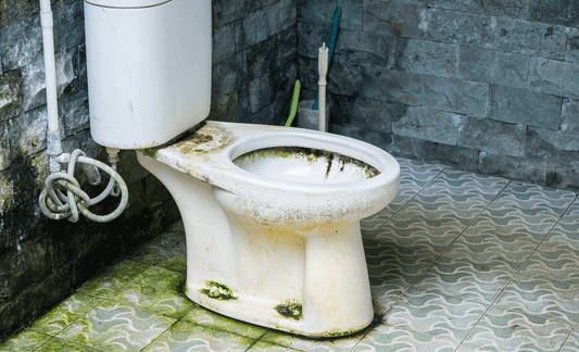 Travel Hygiene Tips: How to Stay Clean and Healthy While Travelling